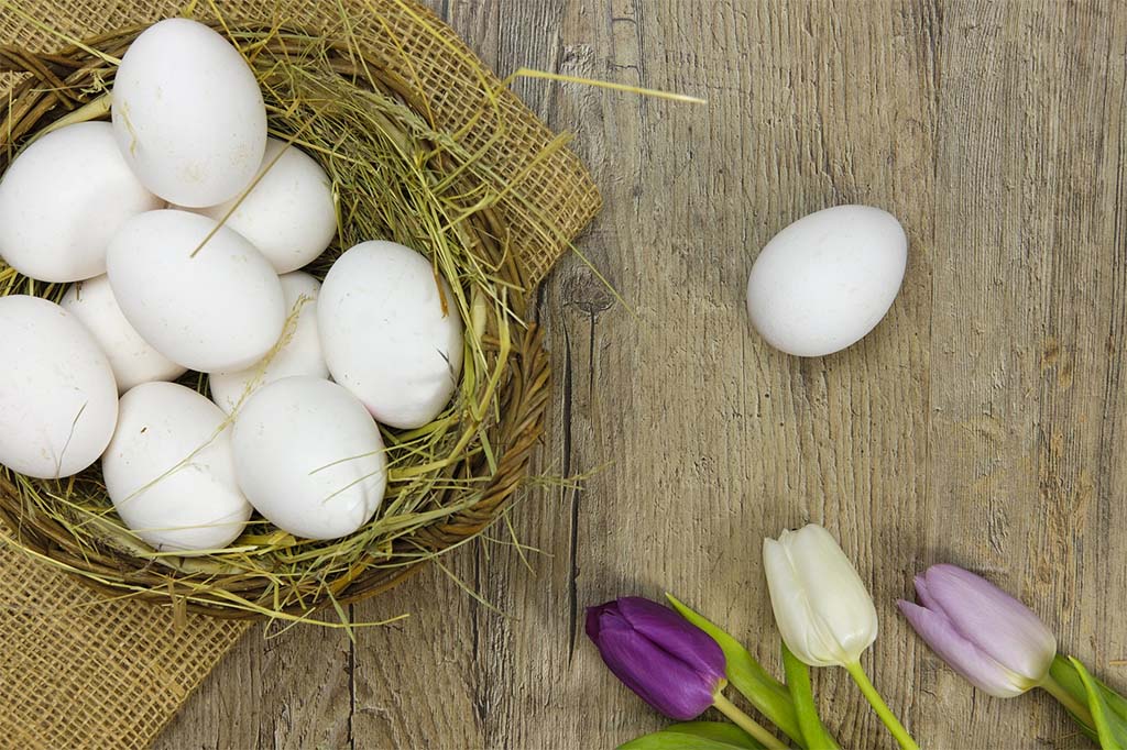 अंडा शाकाहारी या मांसाहारी के बारें में  वैज्ञानिकों  ने दिया चौकाने वाला बयान 