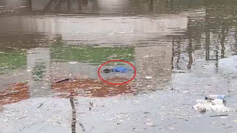 दिल्ली में आफत की बारिश, झुग्गियां बही, तैरती मिली लाश