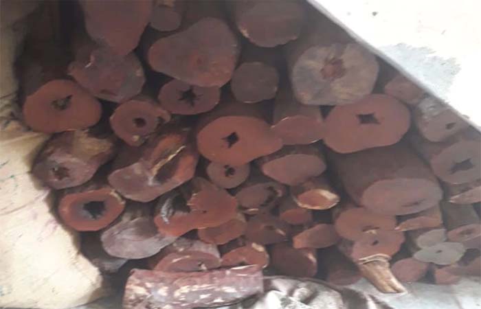 दिल्ली पुलिस क्राइम ब्रांच ने बरामद की 50 करोड़ की चंदन की लकड़ी