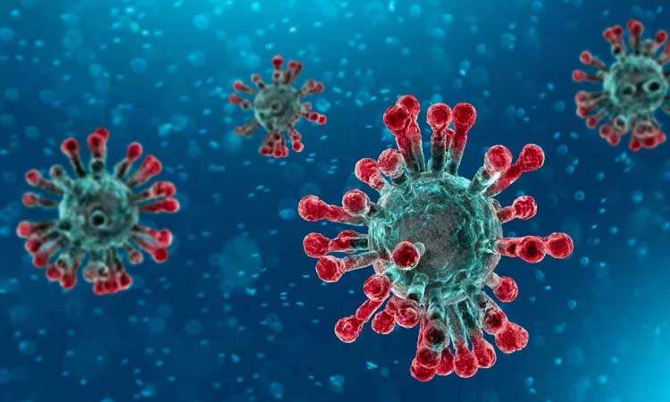Coronavirus Live Update: केरल की नर्स खतरनाक कोरोना वायरस की चपेट में