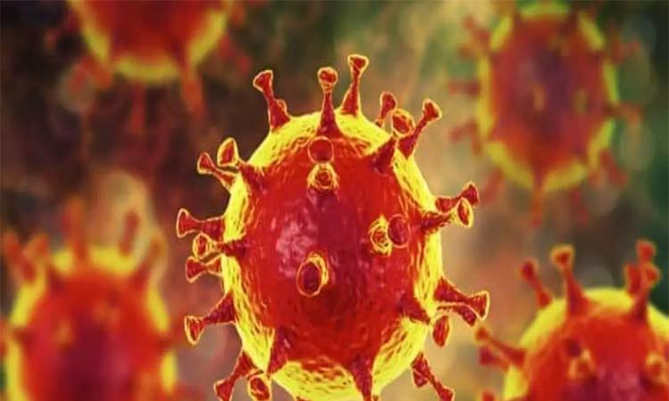 Coronavirus Live Update: चीन में होम्योपैथी इलाज से बचाई गई 100 लोगों की जान