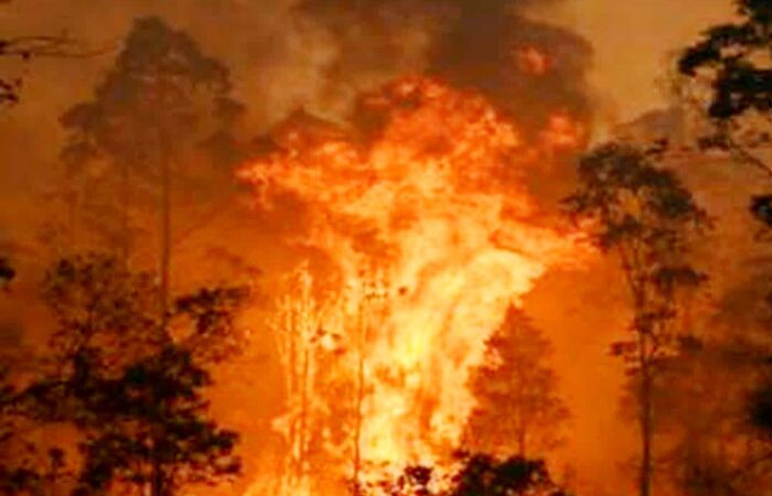 उत्तराखंड के जंगलों में लग रही आग का मामला पहुंचा सुप्रीम कोर्ट