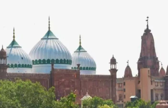 हिंदुओं ने की ईदगाह मस्जिद की सीढ़ियों पर कृष्णा कूप की पूजा