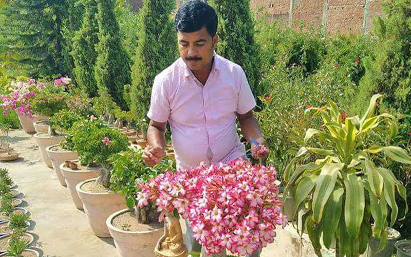 Shabash India: अपनी 'खास फसलों'  का ऑनलाइन कारोबार कर 25 लाख कमा लेता है ये किसान