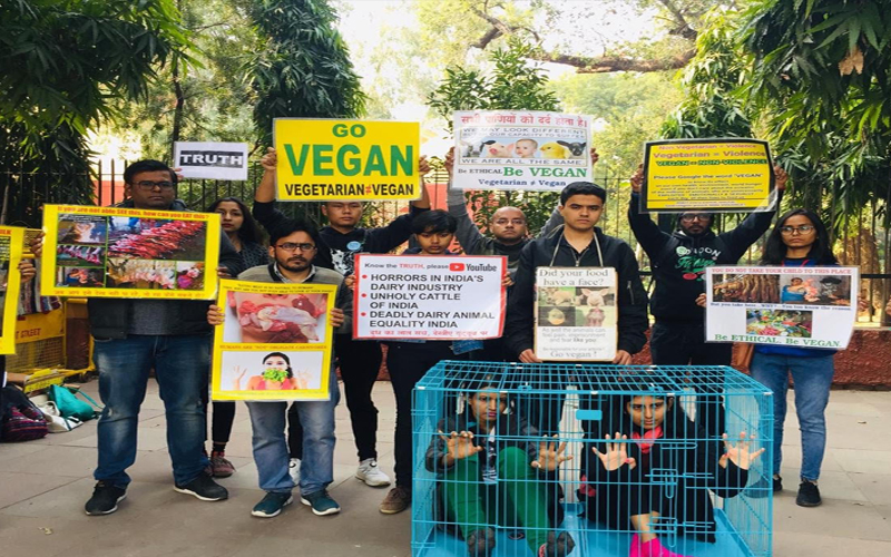 पशुओं के न्याय के लिए पशु अधिकार कार्यकर्ताओं द्वारा प्रदर्शन