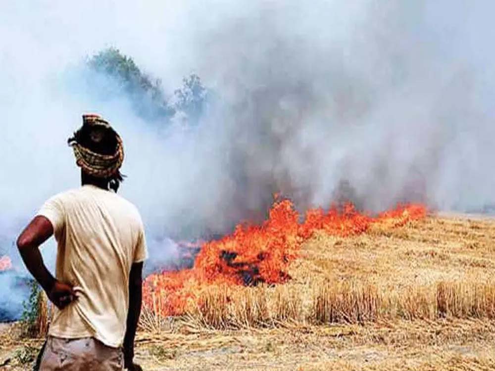 दिल्ली की सांसों में फिर घुलेगा जहर! पंजाब के किसानों ने जलानी शुरू की पराली