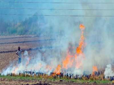 राजस्थान में पराली जलाने की घटनाओं में 160%, पंजाब में 20% की वृद्धि