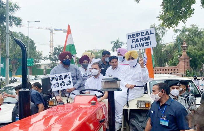 कृषि कानूनों के विरोध में ट्रैक्टर चलाकर संसद पहुंचे राहुल गांधी