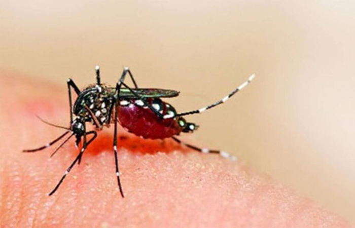तेजी से पैर पसार रहा है Zika Virus का खतरा, अब तक 140 मामले आए सामने